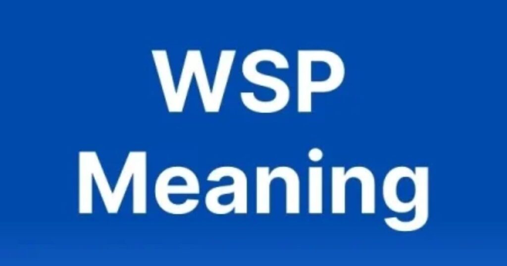 Emotion and Context: The Vibe of WSP