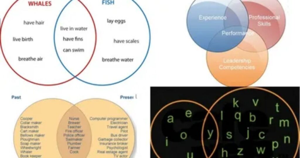 Real-Life Examples of HB